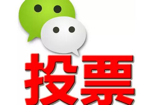 定西市微信投票功能开发 上传图片投票